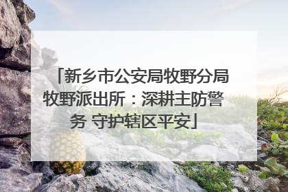 新乡市公安局牧野分局牧野派出所：深耕主防警务 守护辖区平安