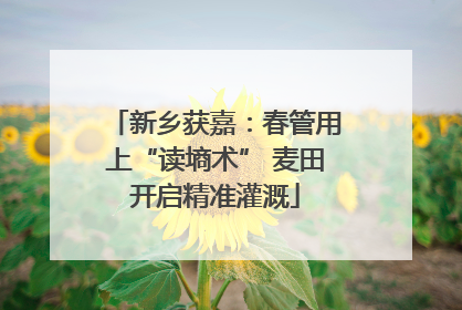 新乡获嘉：春管用上“读墒术” 麦田开启精准灌溉