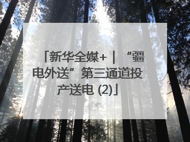 新华全媒+｜“疆电外送”第三通道投产送电 (2)
