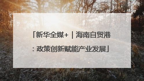 新华全媒+｜海南自贸港：政策创新赋能产业发展