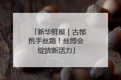 新华鲜报｜古都携手丝路！丝博会绽放新活力