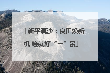 新平漠沙：良田焕新机 绘就好“丰”景
