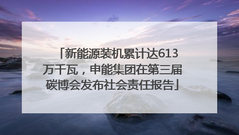 新能源装机累计达613万千瓦，申能集团在第三届碳博会发布社会责任报告