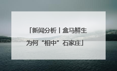 新闻分析丨盒马鲜生为何“相中”石家庄