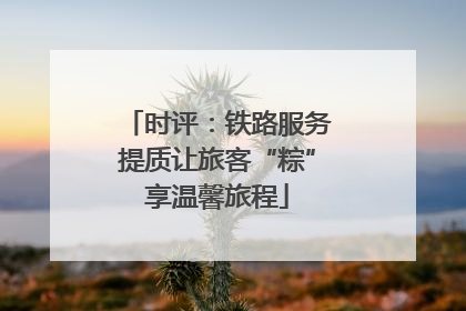 时评：铁路服务提质让旅客“粽”享温馨旅程