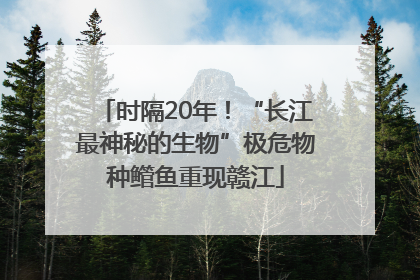 时隔20年！“长江最神秘的生物”极危物种鳤鱼重现赣江