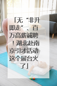 无“非升即走”、百万高薪诚聘！湖北赴南京引才活动这个展台火了