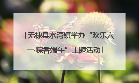 无棣县水湾镇举办“欢乐六一·粽香端午”主题活动