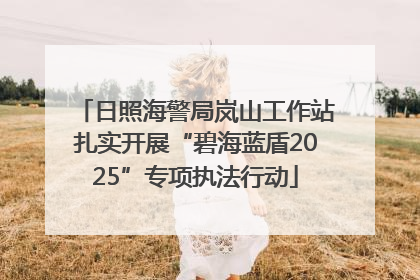 日照海警局岚山工作站扎实开展“碧海蓝盾2025”专项执法行动