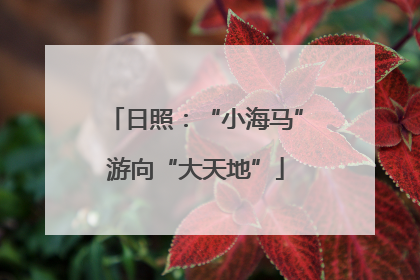 日照：“小海马”游向“大天地”