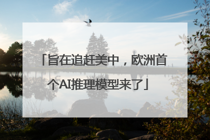 旨在追赶美中，欧洲首个AI推理模型来了