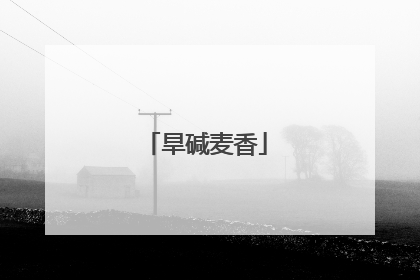 旱碱麦香