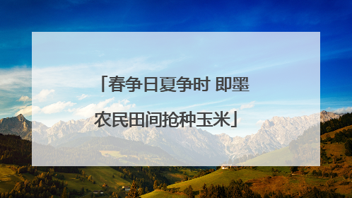 春争日夏争时 即墨农民田间抢种玉米