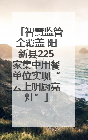 智慧监管全覆盖 阳新县225家集中用餐单位实现“云上明厨亮灶”