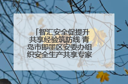 智汇安全促提升 共享经验筑防线 青岛市即墨区安委办组织安全生产共享专家现场观摩学习活动