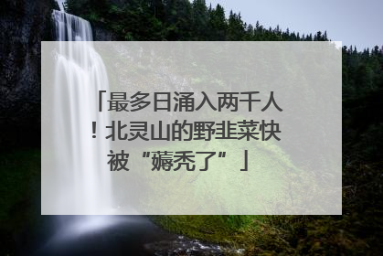 最多日涌入两千人！北灵山的野韭菜快被“薅秃了”