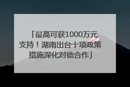 最高可获1000万元支持！湖南出台十项政策措施深化对德合作