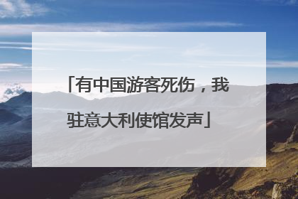 有中国游客死伤，我驻意大利使馆发声