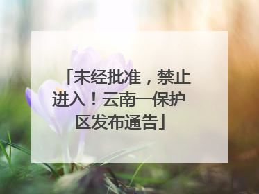 未经批准，禁止进入！云南一保护区发布通告