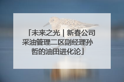 未来之光｜新春公司采油管理二区副经理孙哲的油田进化论