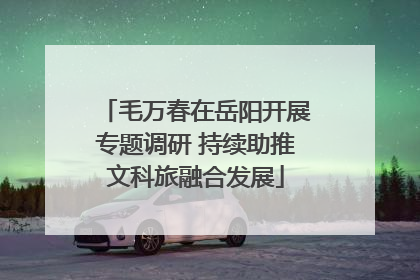 毛万春在岳阳开展专题调研 持续助推文科旅融合发展