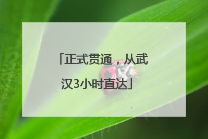 正式贯通，从武汉3小时直达