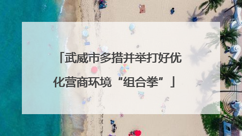 武威市多措并举打好优化营商环境“组合拳”