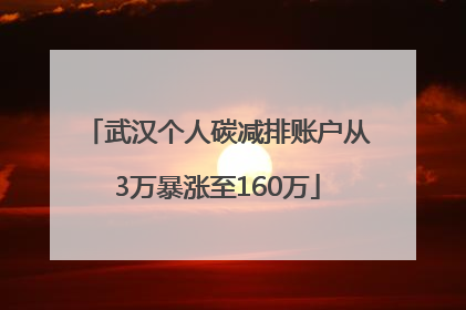 武汉个人碳减排账户从3万暴涨至160万