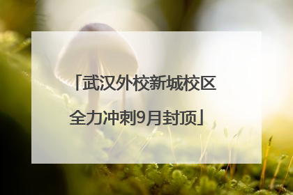 武汉外校新城校区全力冲刺9月封顶