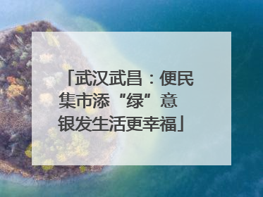武汉武昌：便民集市添“绿”意 银发生活更幸福