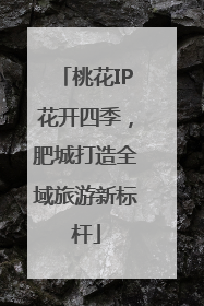 桃花IP花开四季，肥城打造全域旅游新标杆