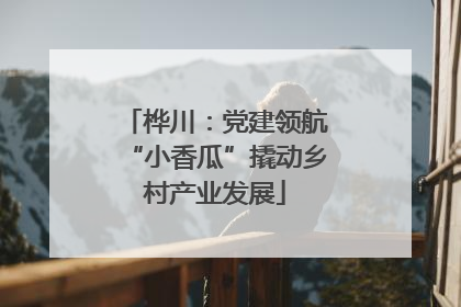 桦川：党建领航“小香瓜”撬动乡村产业发展