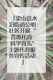 梁山县水泊街道公明社区开展“普惠托育 科学育儿”主题托育服务宣传活动