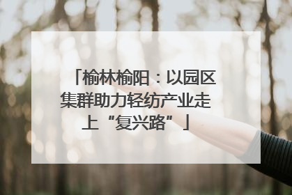 榆林榆阳：以园区集群助力轻纺产业走上“复兴路”