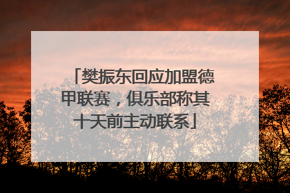樊振东回应加盟德甲联赛，俱乐部称其十天前主动联系