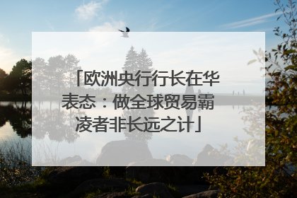 欧洲央行行长在华表态：做全球贸易霸凌者非长远之计