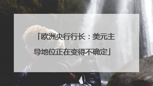 欧洲央行行长：美元主导地位正在变得不确定