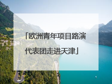 欧洲青年项目路演代表团走进天津