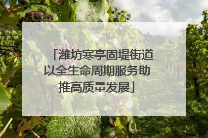 潍坊寒亭固堤街道以全生命周期服务助推高质量发展