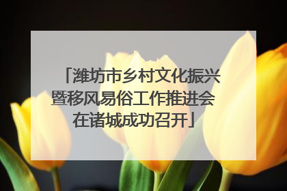 潍坊市乡村文化振兴暨移风易俗工作推进会在诸城成功召开