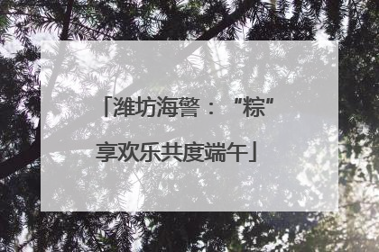 潍坊海警：“粽”享欢乐共度端午