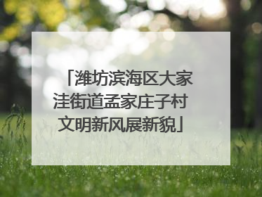 潍坊滨海区大家洼街道孟家庄子村文明新风展新貌