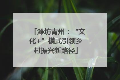 潍坊青州：“文化+”模式引领乡村振兴新路径