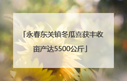 永春东关镇冬瓜喜获丰收 亩产达5500公斤