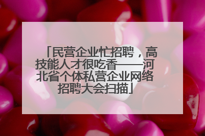 民营企业忙招聘，高技能人才很吃香——河北省个体私营企业网络招聘大会扫描