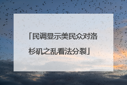 民调显示美民众对洛杉矶之乱看法分裂