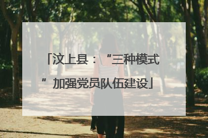汶上县：“三种模式”加强党员队伍建设