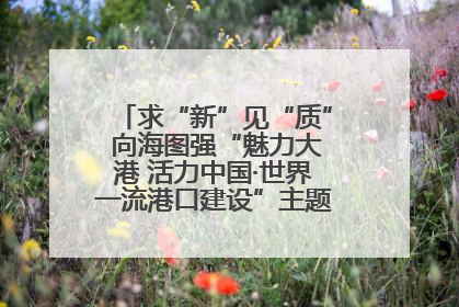 求“新”见“质” 向海图强“魅力大港 活力中国·世界一流港口建设”主题宣传活动走进山东
