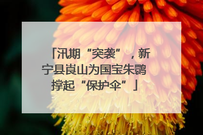 汛期“突袭”，新宁县崀山为国宝朱鹮撑起“保护伞”