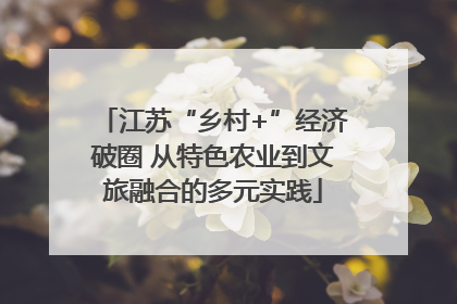 江苏“乡村+”经济破圈 从特色农业到文旅融合的多元实践
